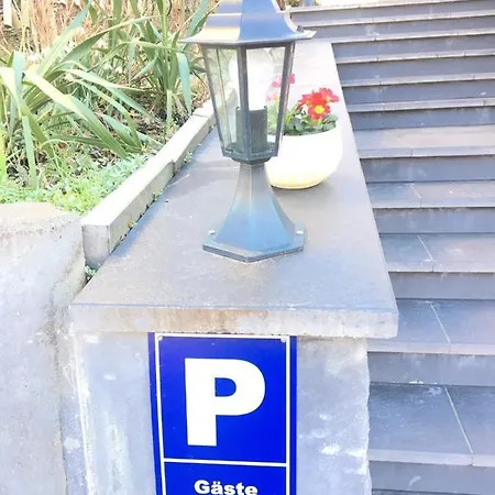 Traubeneiche *